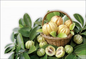 la-garcinia_cambogia