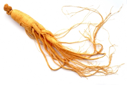 Propiedades y beneficios del ginseng