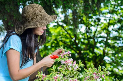 Cómo dedicarse a la jardinería aún sufriendo alergia al polen