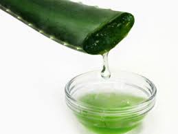 Cómo preparar un gel de aloe vera en casa