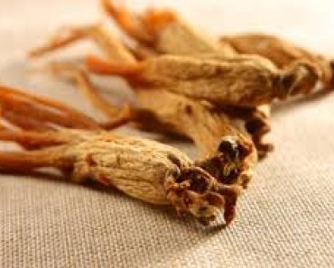 Ginseng contra la diabetes