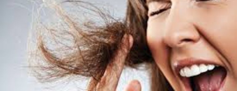 Ingredientes naturales para tratar un cabello seco